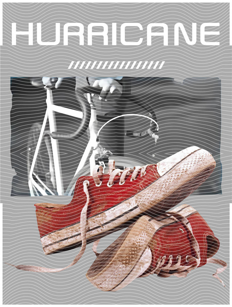 latest edition-KNY 809